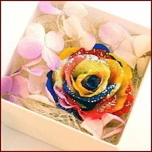 プリザーブドフラワーボックス　温度で色が変わるアジサイ＆レインボーローズ