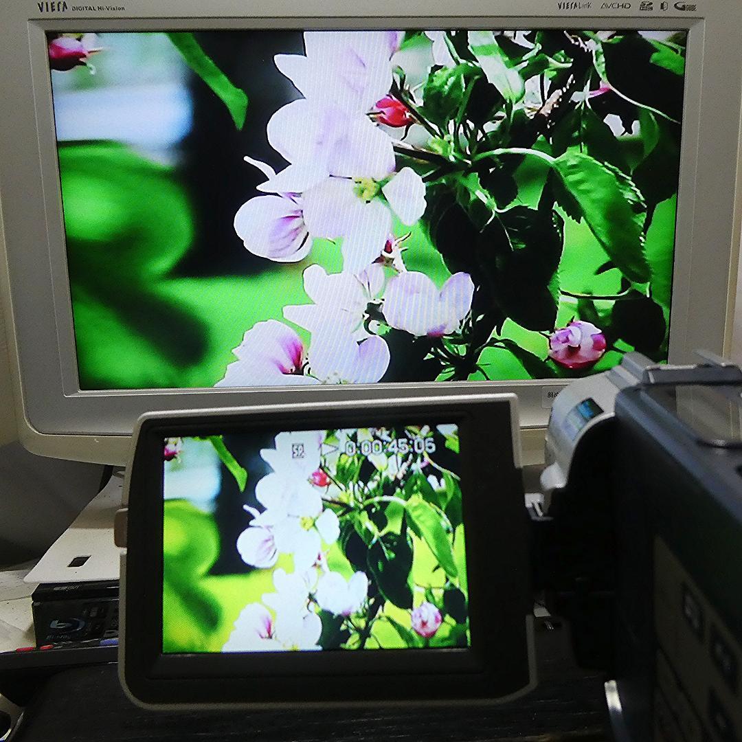 動作品 ソニーDCR-TRV17 MiniDV ビデオカメラ DVDダビングに