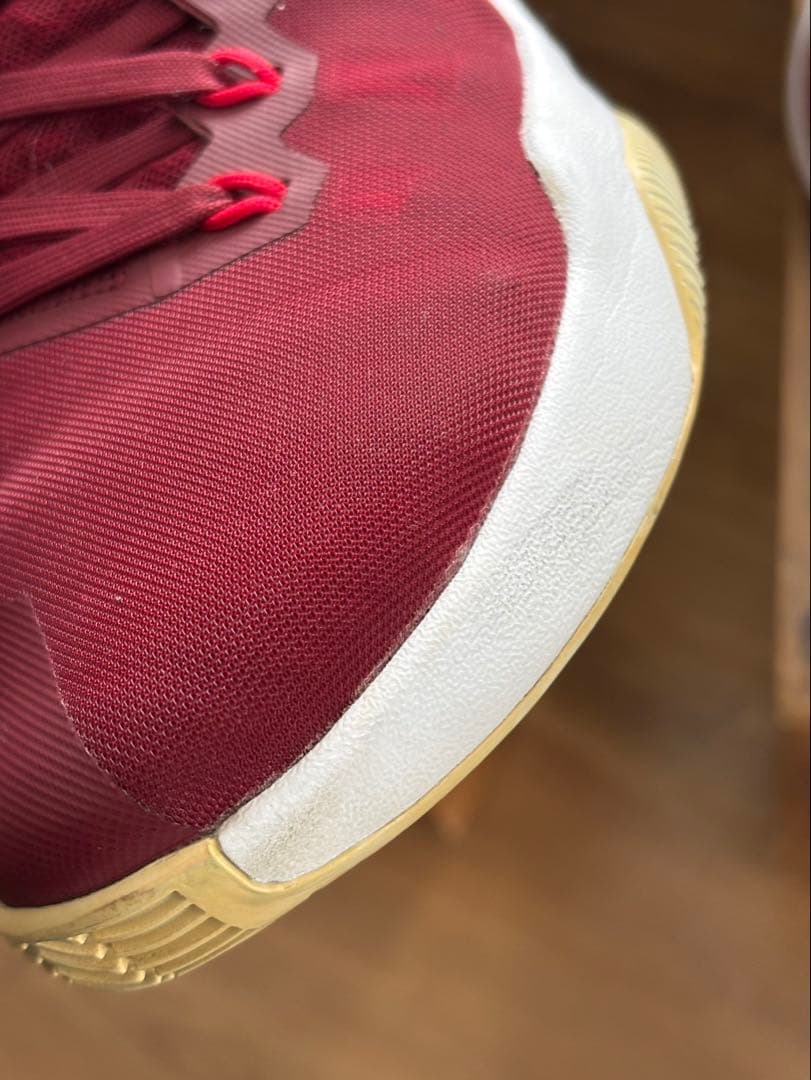 NIKE ハイパーダンク2016 ローカットタイプ