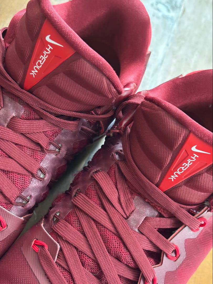 NIKE ハイパーダンク2016 ローカットタイプ