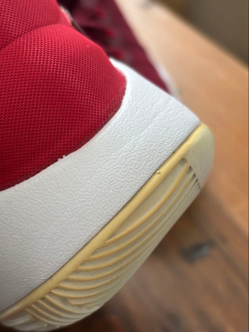 NIKE ハイパーダンク2016 ローカットタイプ