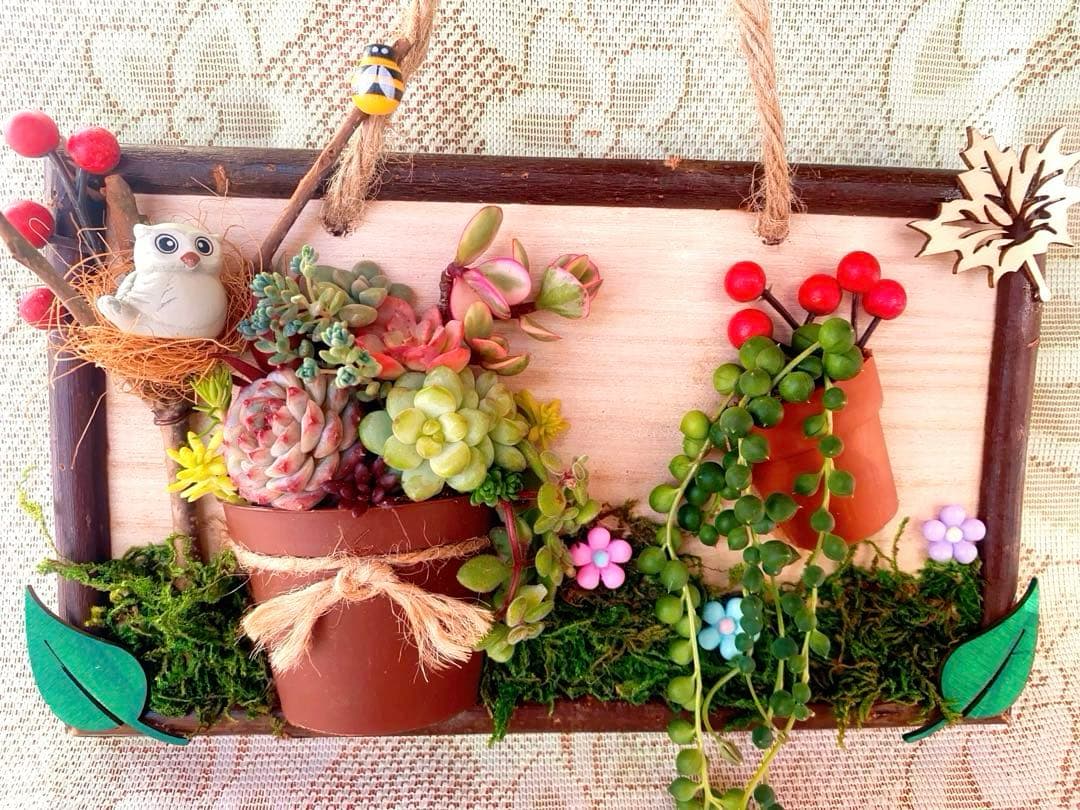 多肉アート◆寄せ植え◆そのまま飾れます◆ハンドメイド