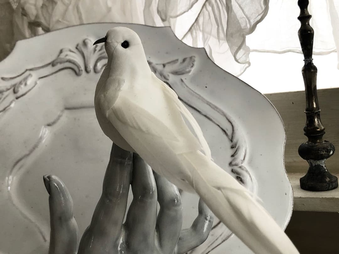 アーティスト　婦人　ハンド　オブジェ　バードセット　レースフリル袖 /アスティエ