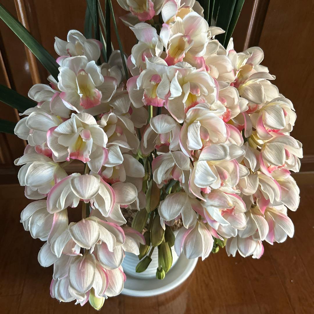 ピンクペルペチュエル’☆アーチ型　造花