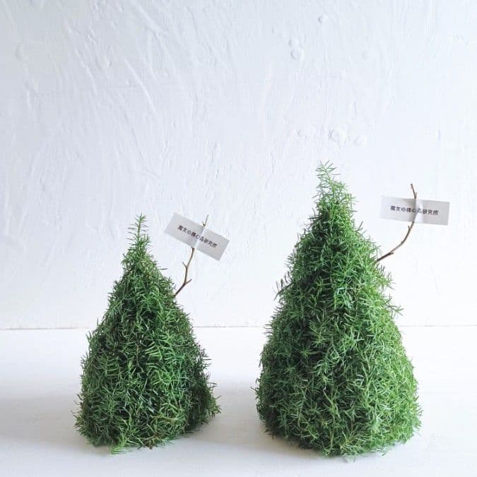 新品 未使用 ドライフラワー リース ツリー オブジェ インテリア order