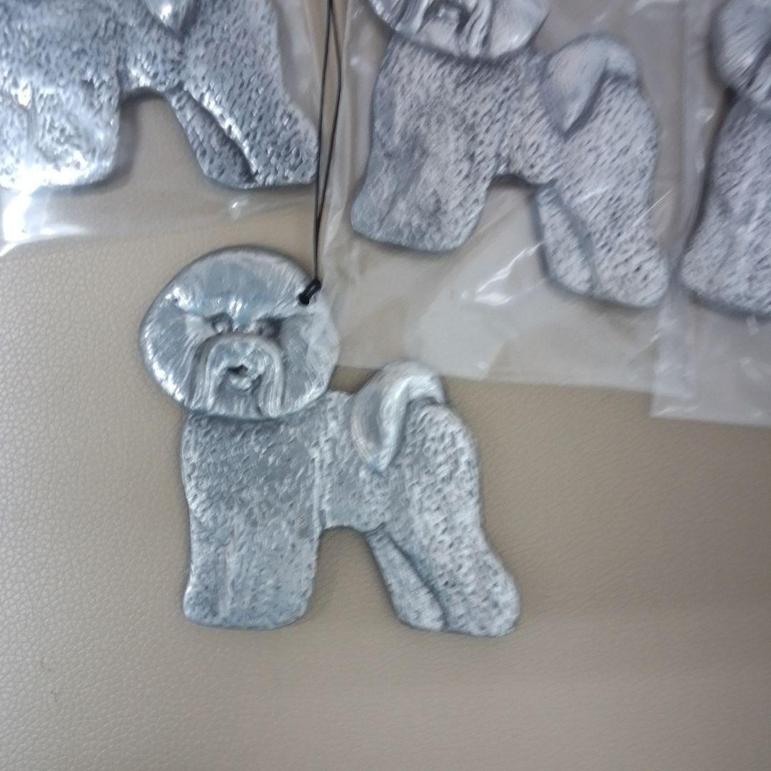 ウインドベル　ビションフリーゼ　希少