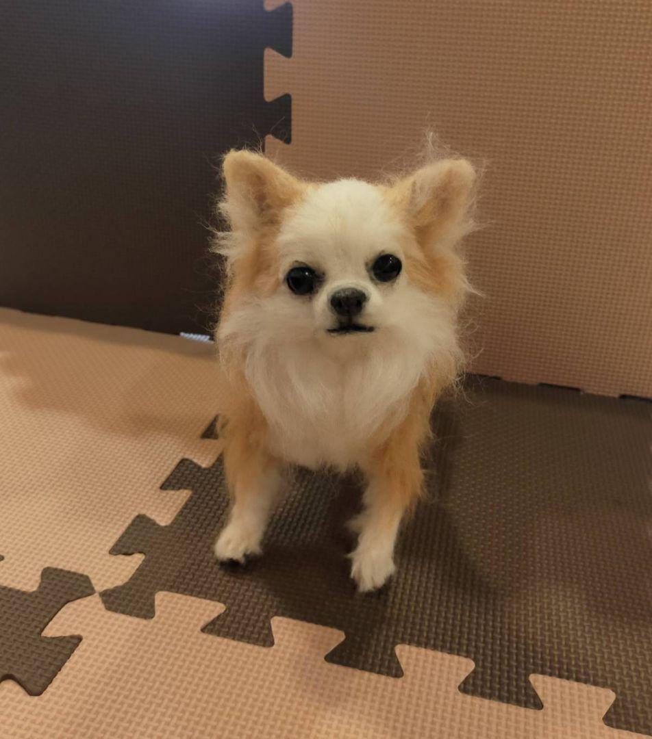 羊毛フェルト犬　ちろ