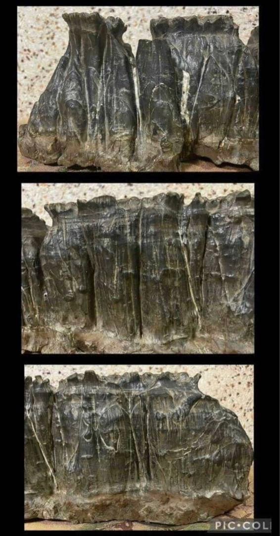 4756 水石 盆栽 大型 紀州古谷石 横63(cm)19.35kg