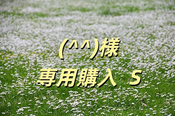 (^^)購入 S