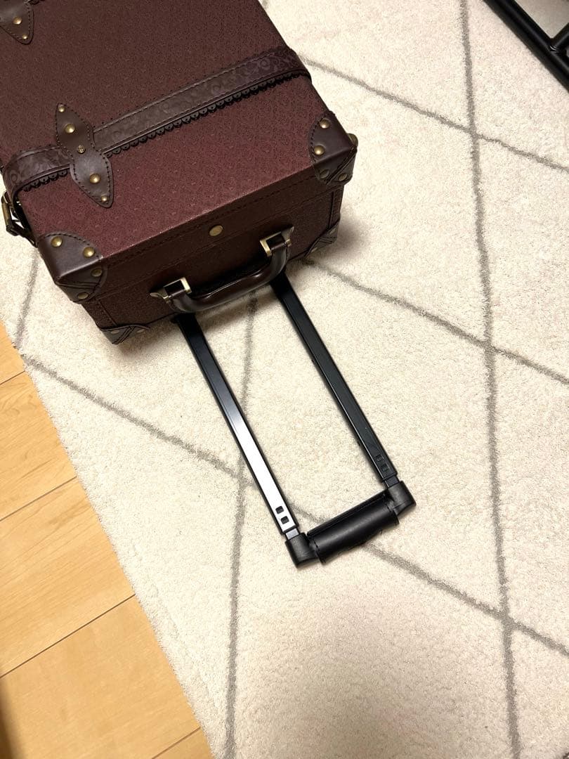 レア⭐︎美品キャリーケース