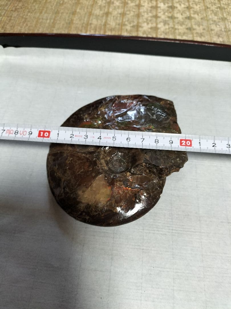 アンモライト原石