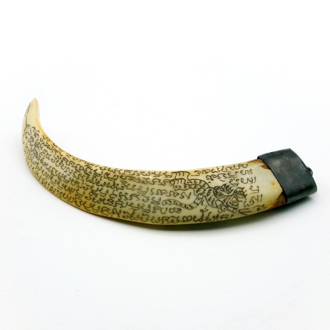 タイ お守り Khiaw Hmoo Dtan Gae Suea 猪牙 Yant