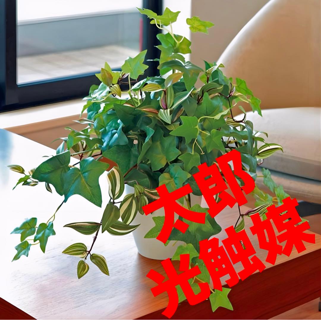 光触媒　人工観葉植物　ウォールグリーン　フェイクグリーン　ミックスアイビー