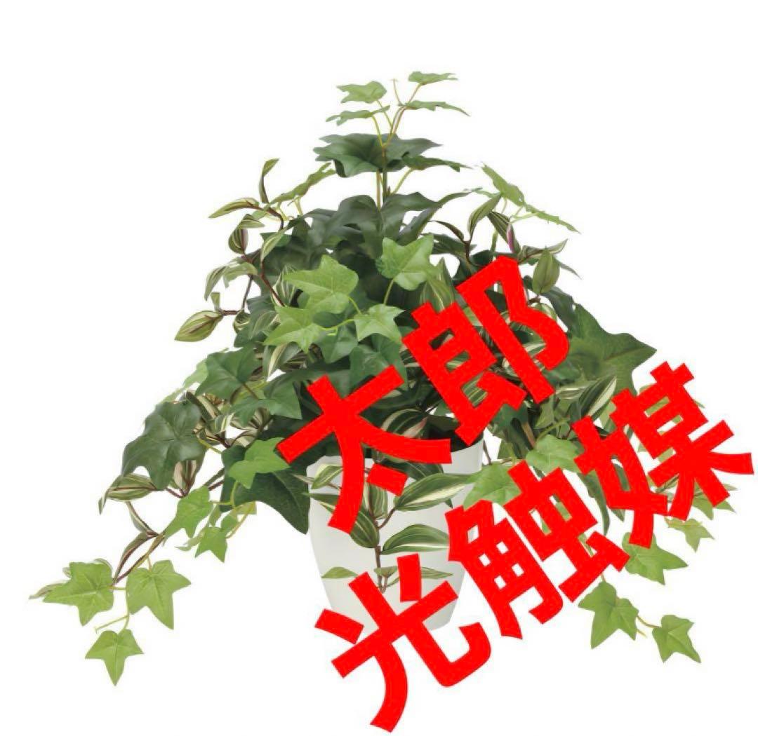 光触媒　人工観葉植物　ウォールグリーン　フェイクグリーン　ミックスアイビー