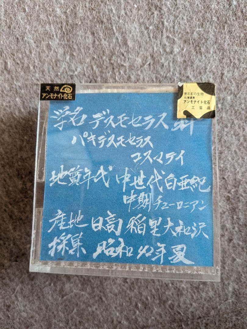 ハ*ト様 アンモナイト化石 30cm超