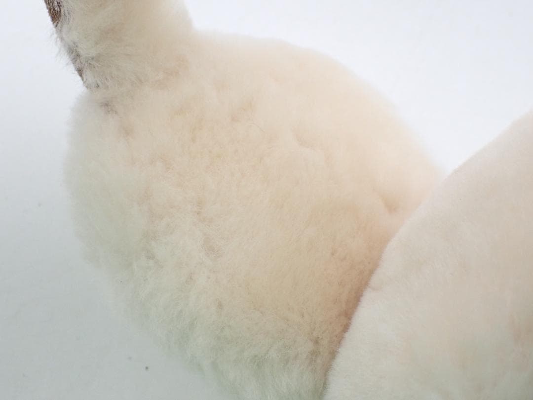 美品 UGG アグ イヤーマフ シープスキン チェスナット ブラウン