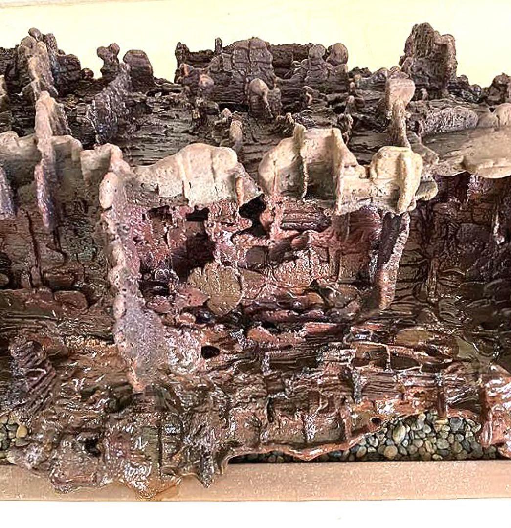 溶岩流[稀少品]観賞用・アクアリウム用