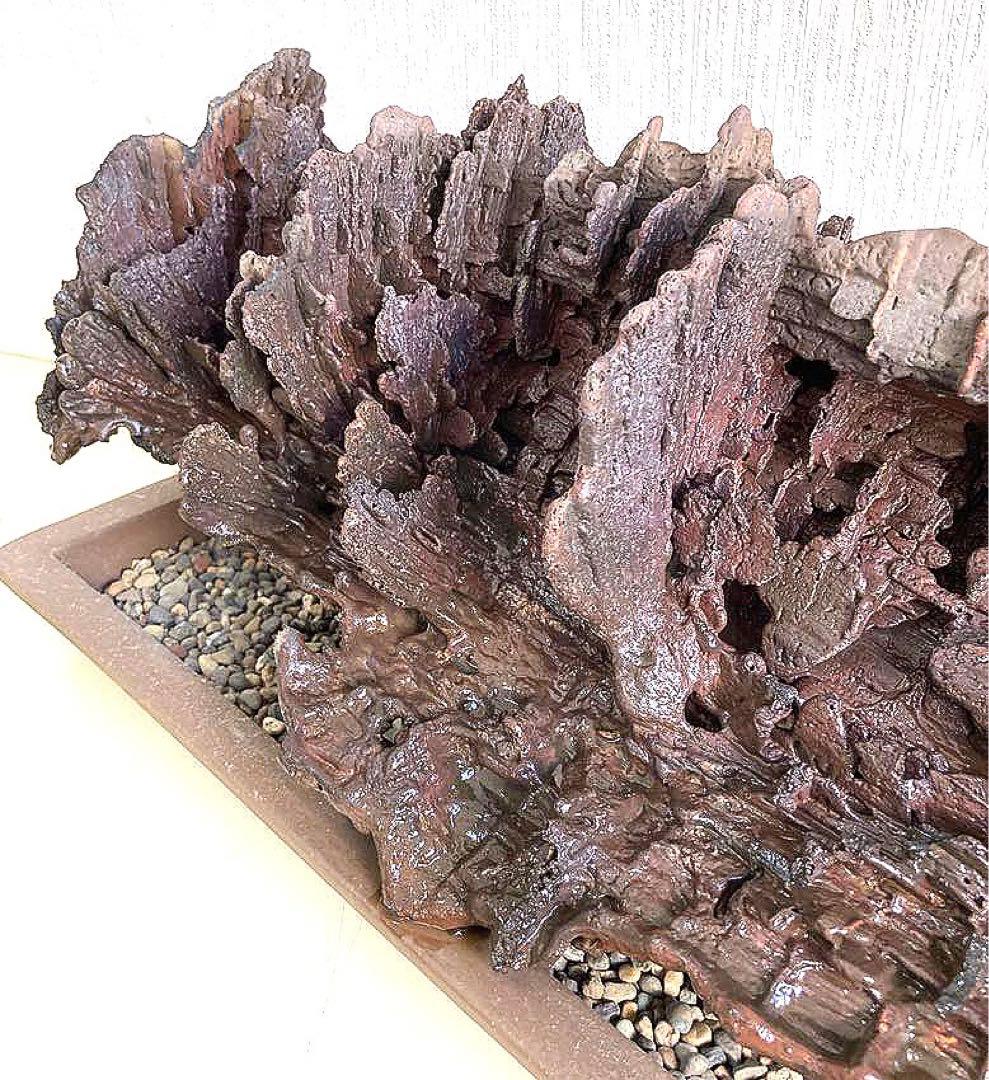 溶岩流[稀少品]観賞用・アクアリウム用