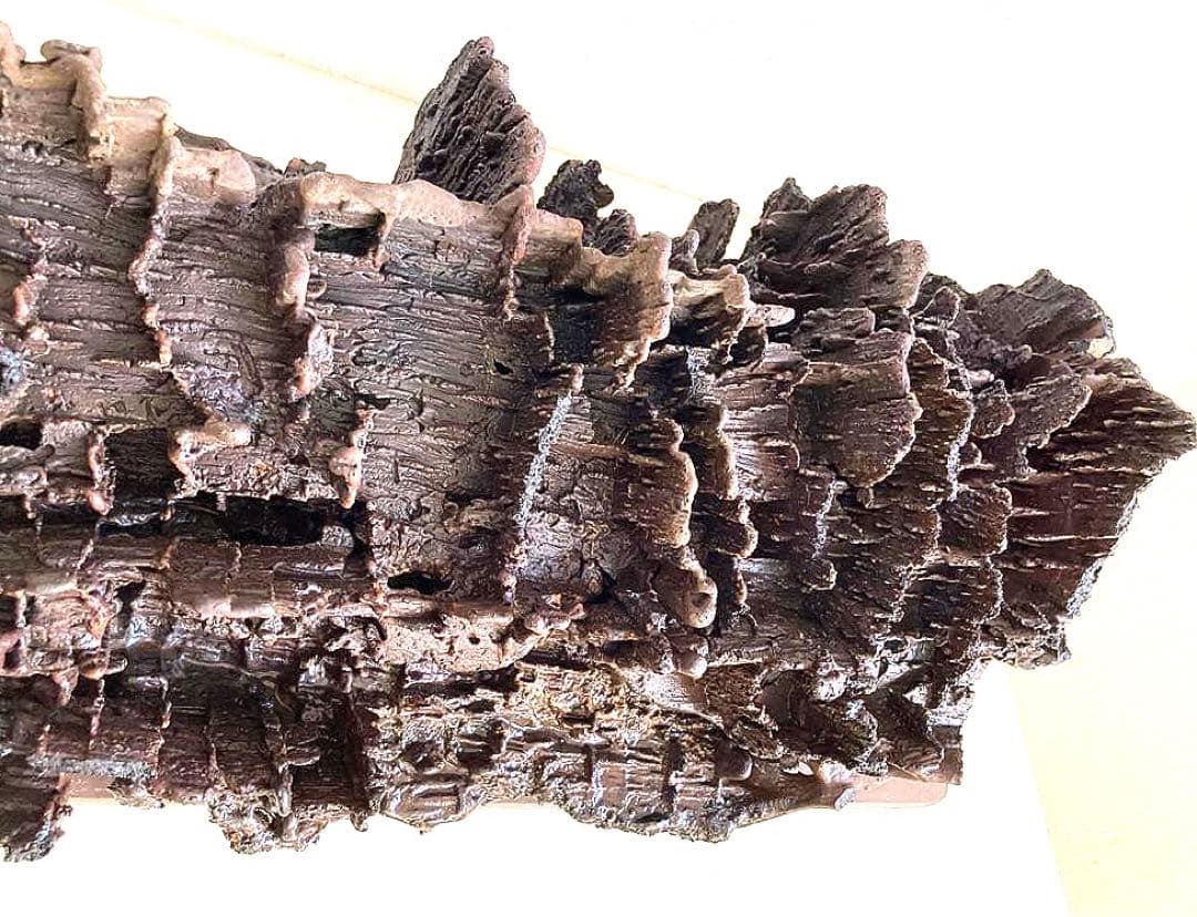 溶岩流[稀少品]観賞用・アクアリウム用