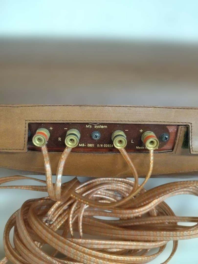 た*ぁ様 M’s system 木製 波動スピーカ MS-0801 エムズシステ