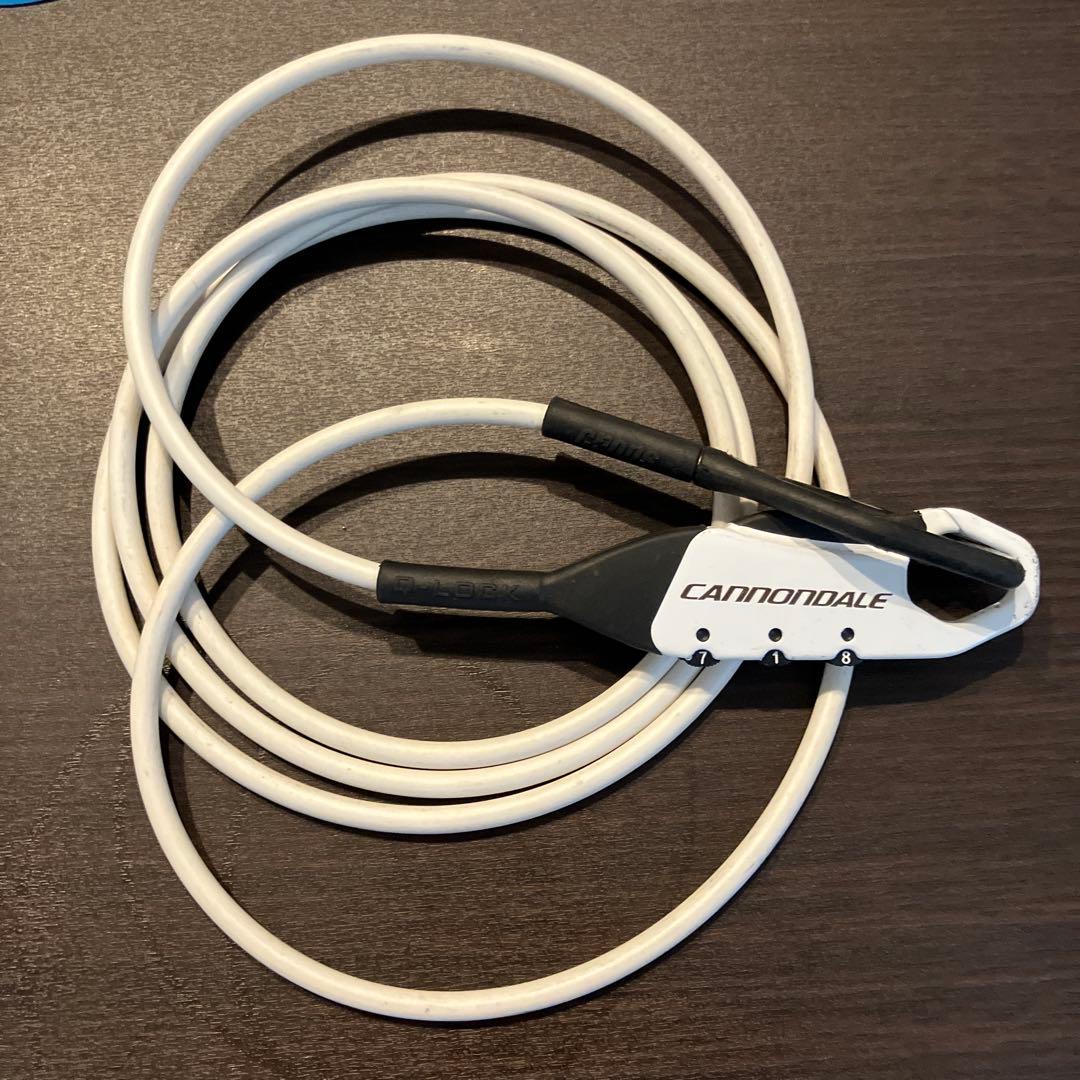 Tern VERGE N8 付属品:輪行袋 空気入れ ナムロック 取説書類