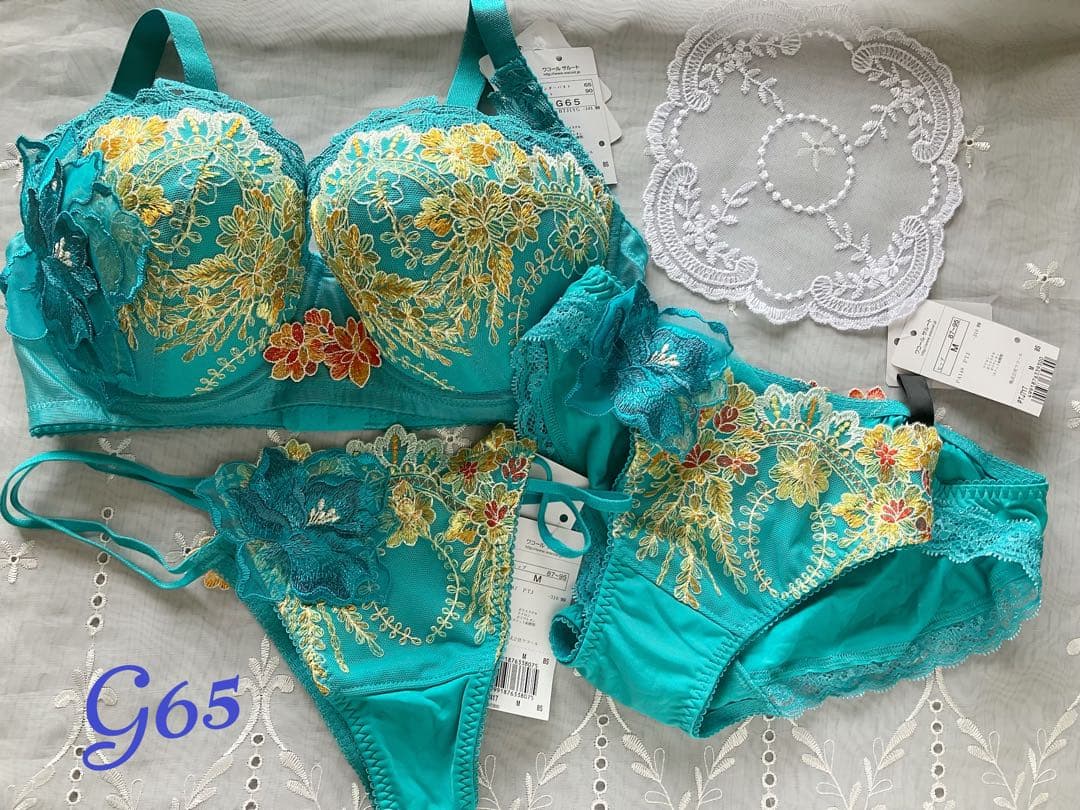 専用⭐︎サルート　レア！　世界遺産　黄龍　ソング、ブラジャーショーツセット G65