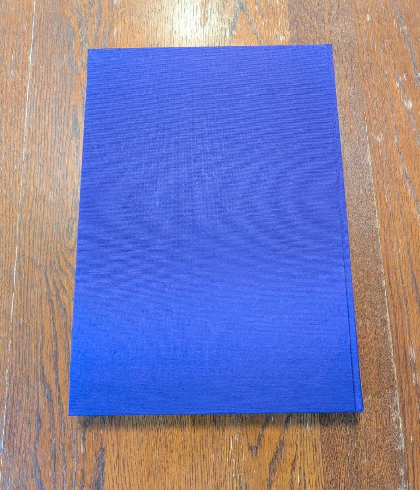 い*ぬ様 スクウェア・エニックス(小林智美) サガシリーズアートワークス 画集