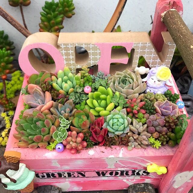 ★多肉植物　寄せ植え〜手作り　木製手押しカート　アイスクリーム屋さん〜★