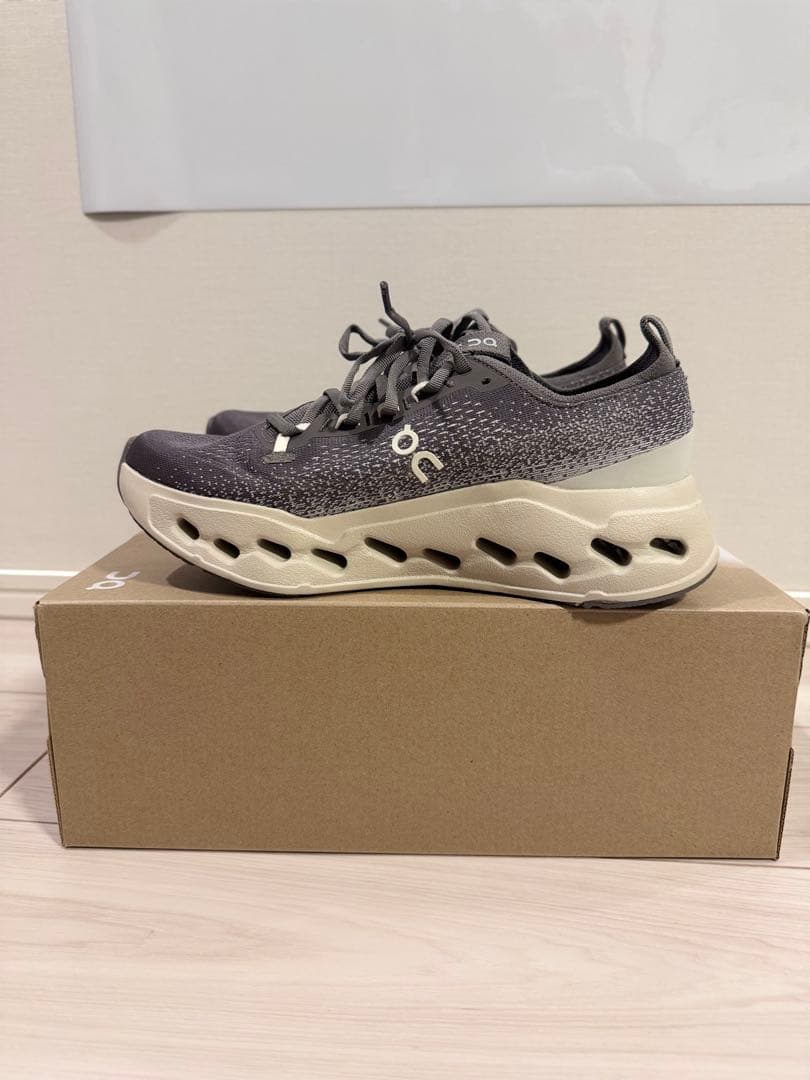 t*i様 On Cloudsurfer Max Asphalt/Ice US8