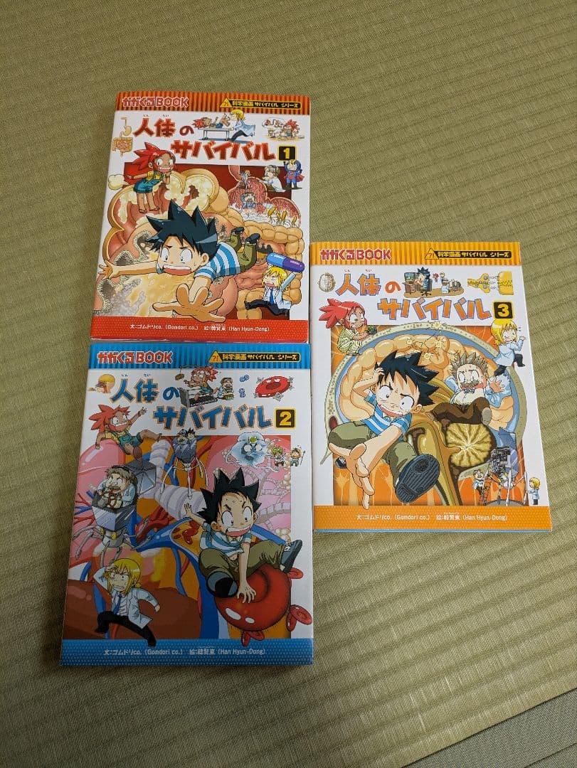 サバイバルシリーズ　セット