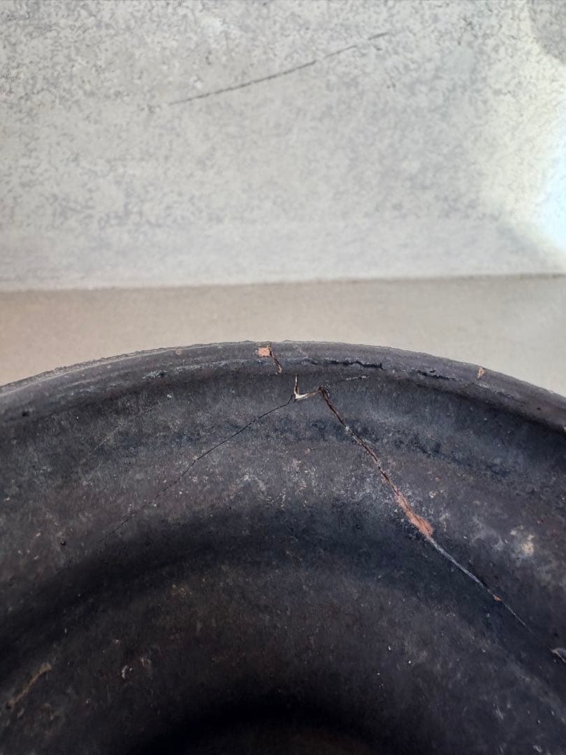 細川政己 植木鉢 鉢 訳あり