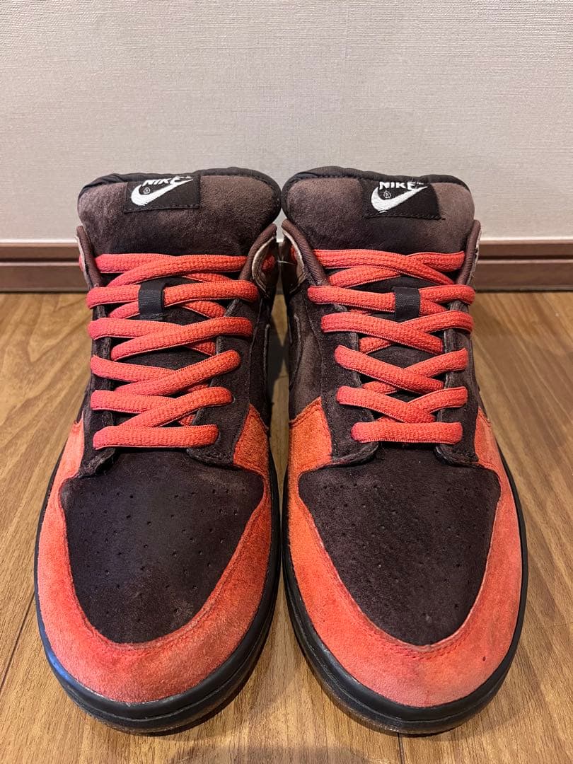 NIKE DUNK SB PRO SBつま赤 バイソン ダンクロー 超希少サイズ