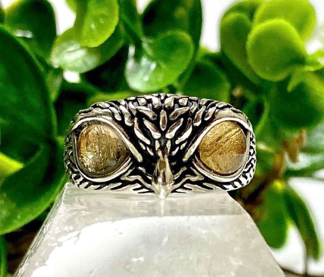 スマイル様　宇宙の彼方から舞い降りし奇跡の隕石　プレミアムギベオンフクロウリング