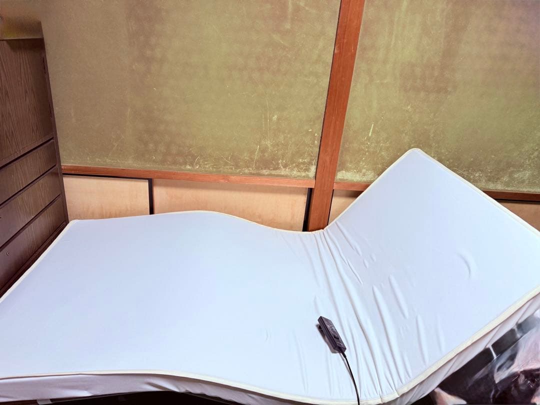 ATEX 電動リクライニングベット　イズミン