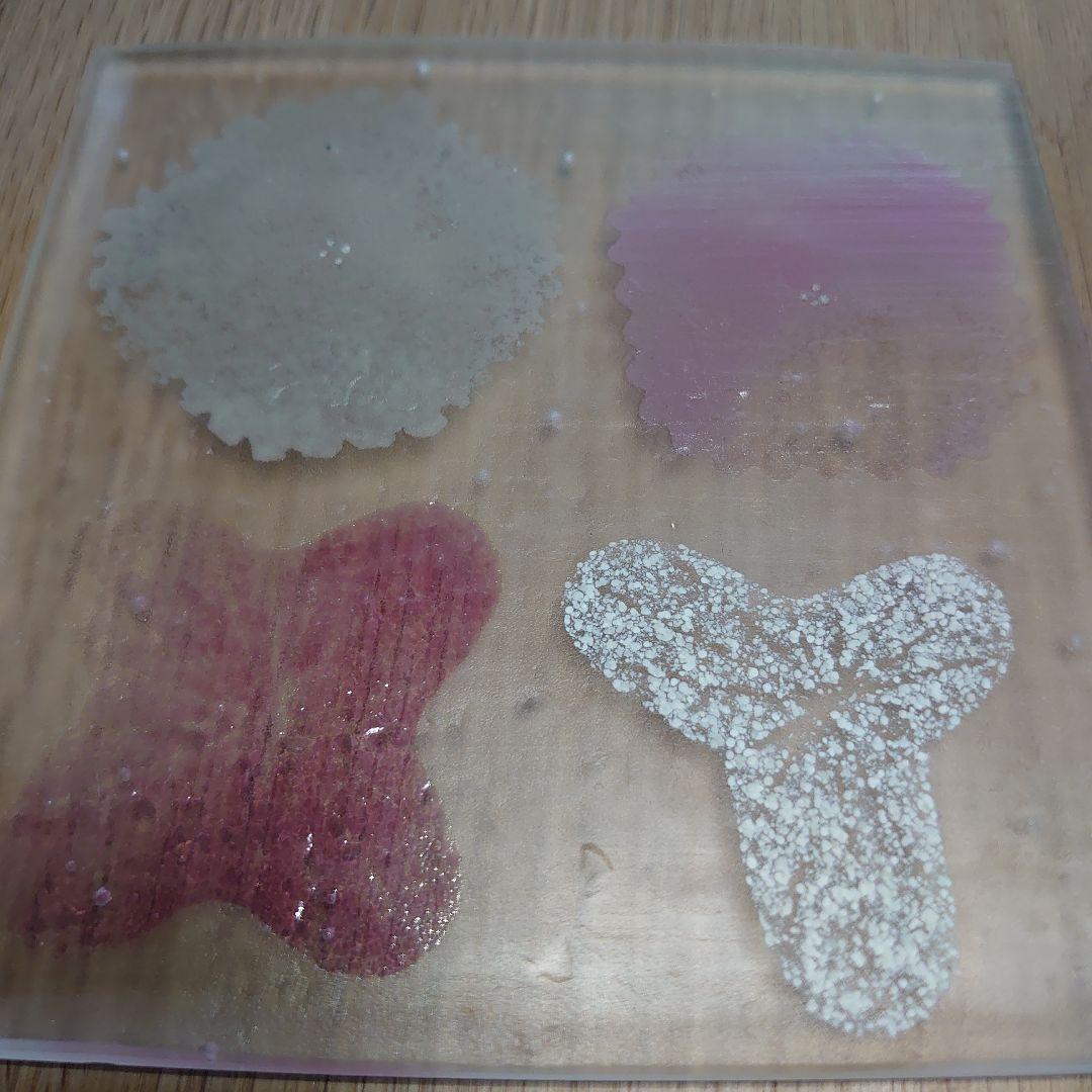 八木麻子さん　花スクエアプレート　２枚セット