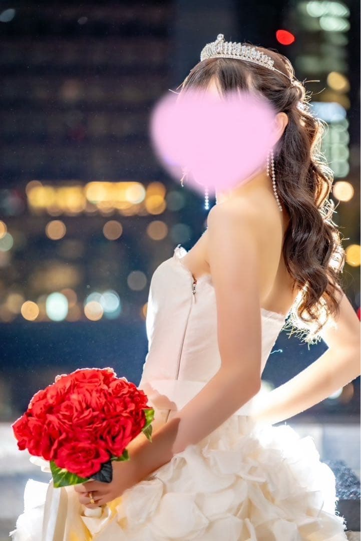 前撮りなどに　VERA WANG ヘイリー　ホワイト　ウェディングドレス US0