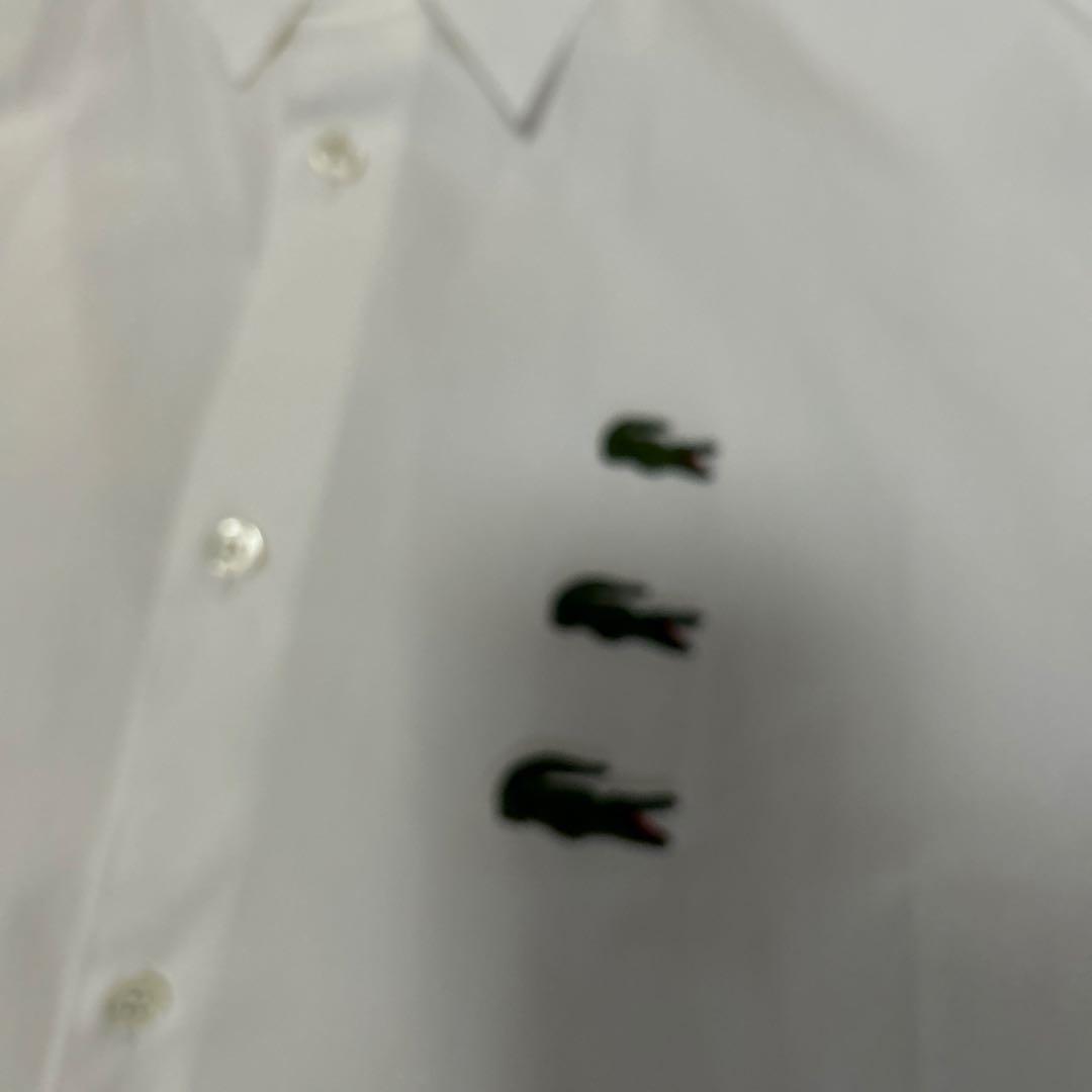 LACOSTE COMME des GARÇONS SHIRT Sサイズ