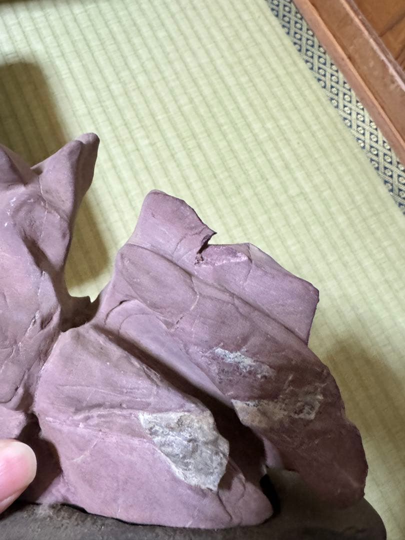 ライム商品