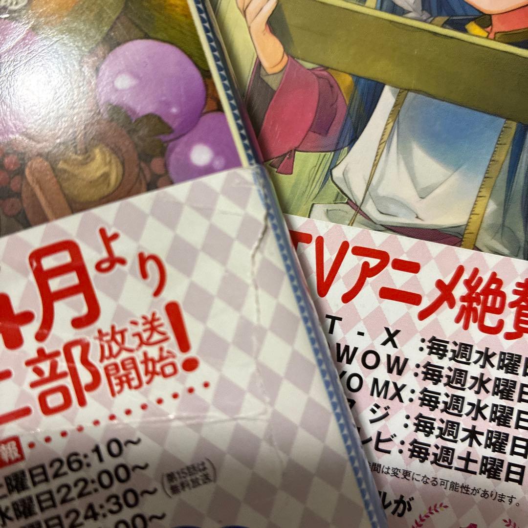 お値下げ！小説　本好きの下剋上全巻+外伝+短編集2冊