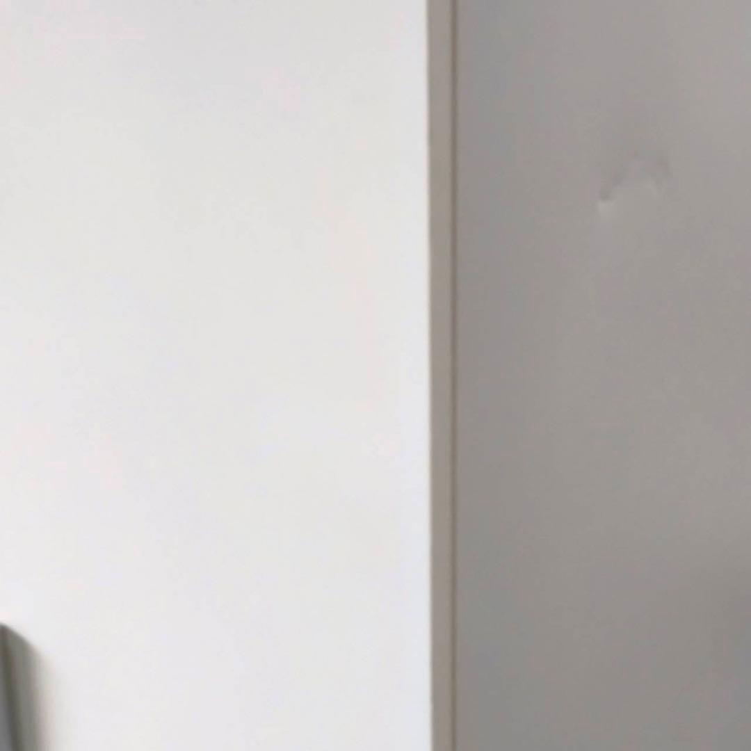 ニトリ ワードローブ WA-L0 1960 ホワイト クローゼットハンガーラック