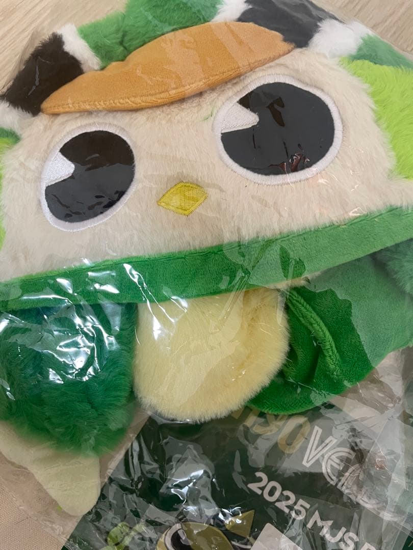 リヴェルン 4点 セット 東京ヴェルディ ヴェルディ マスコット Ｊリーグ 3D