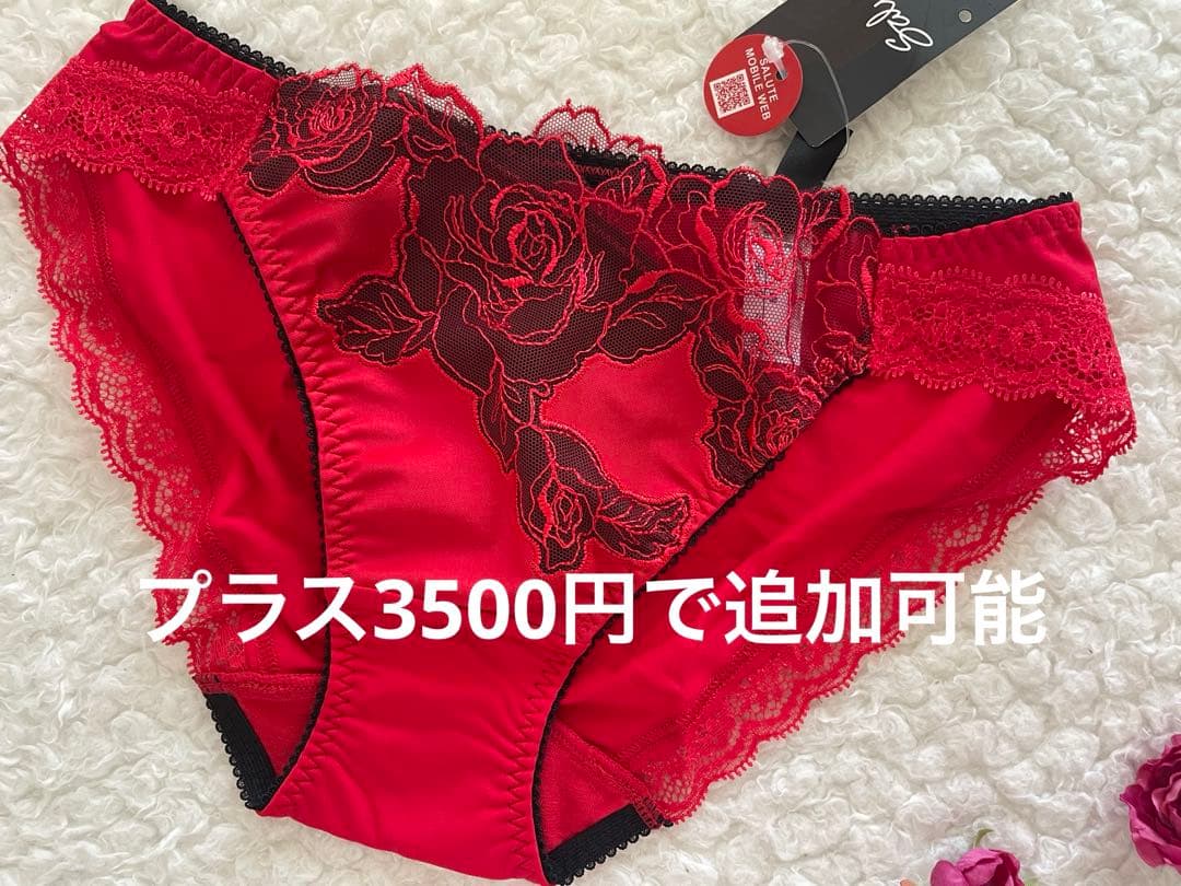 専用 サルート 旧20G D75/M ムーランルージュ RE