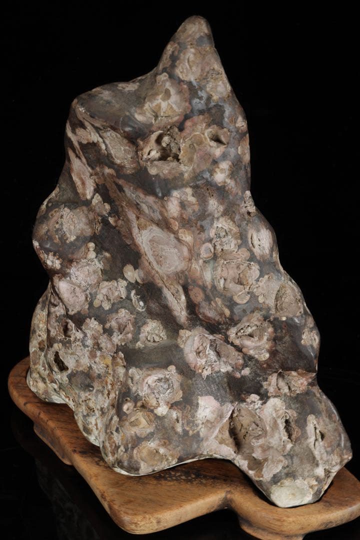 紅梅 梅花石 台付 5.7kg 鑑賞石 水石 原石 天然石 鉱石 盆石 飾石