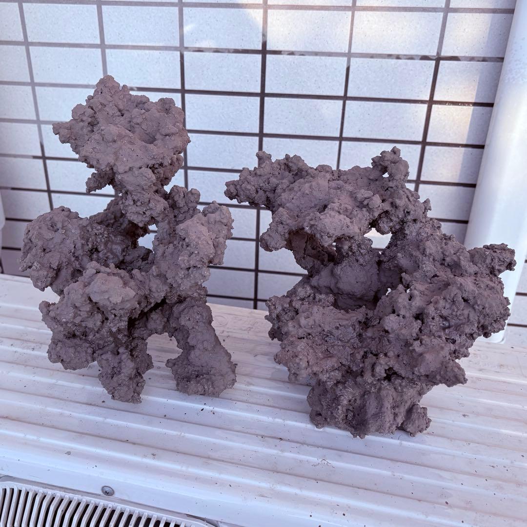人工ライブロック　2 sets ver