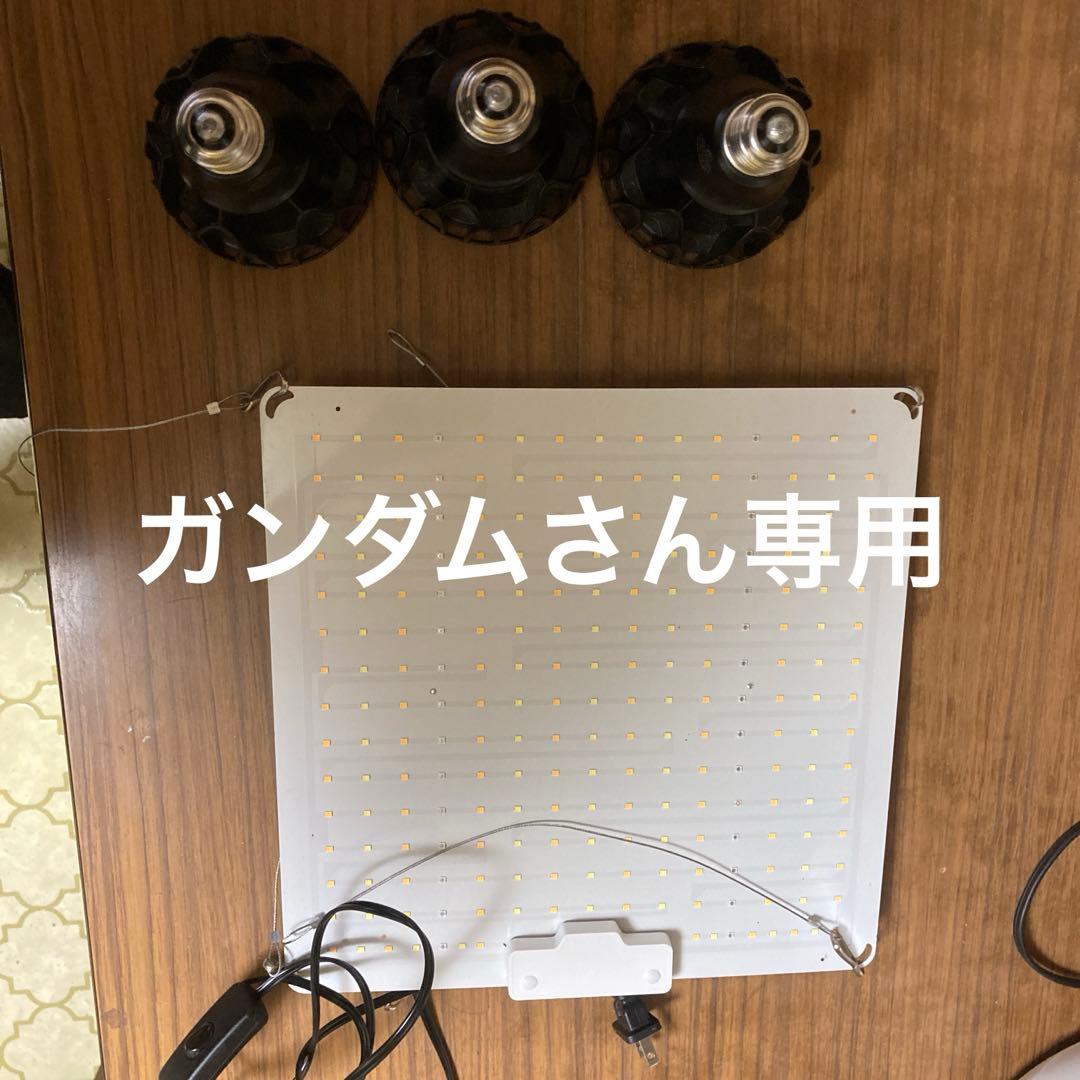 3個　BRIM(ブリム) 植物育成LEDライト 白色 24W パネルライト