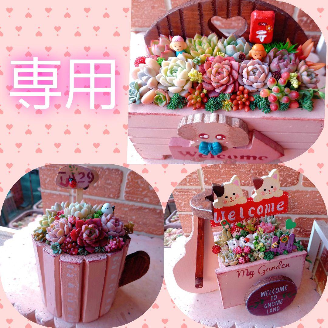 ❤️専用❤️多肉植物❤️そのまま飾れる寄せ植え❤️