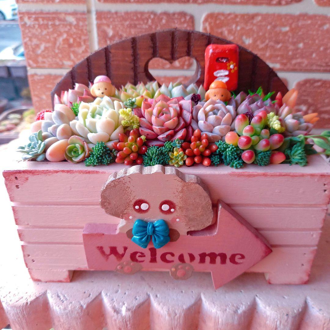 ❤️専用❤️多肉植物❤️そのまま飾れる寄せ植え❤️