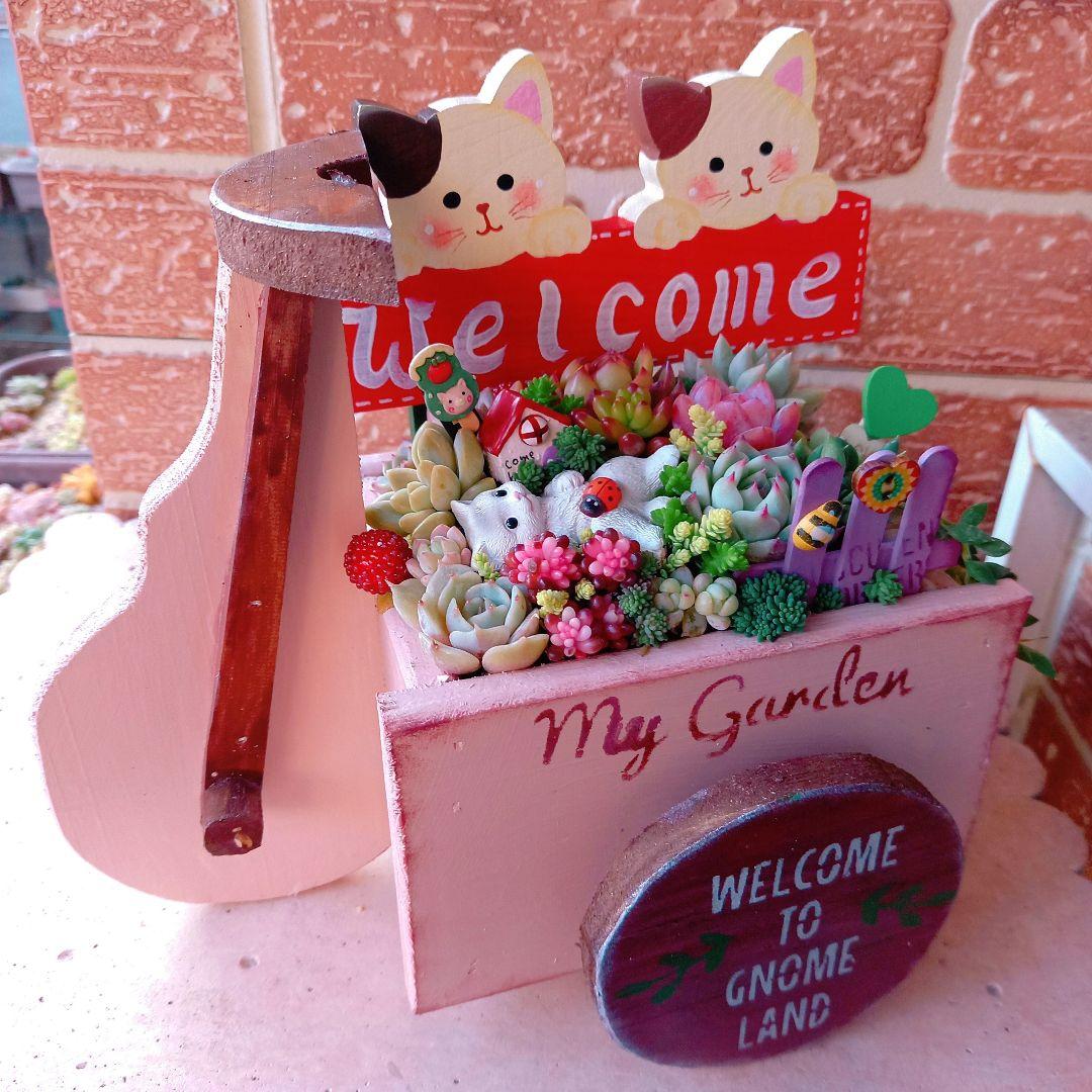 ❤️専用❤️多肉植物❤️そのまま飾れる寄せ植え❤️