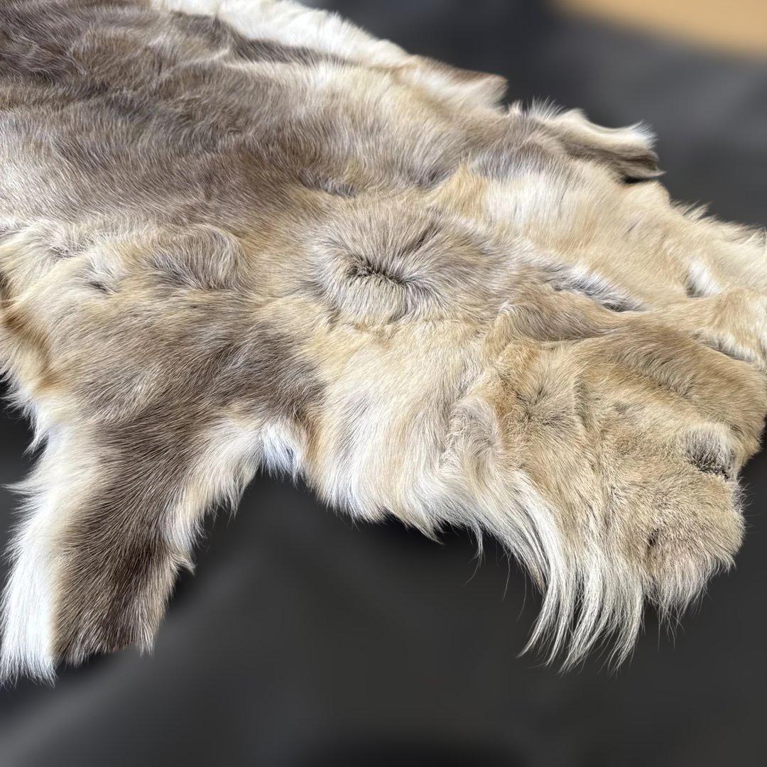 【新品未使用】トナカイ毛皮　フィンランド製