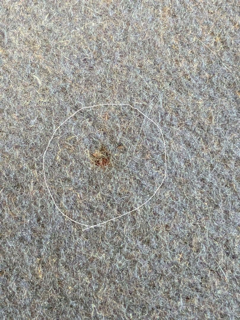 【haruatuking】ルイ・ヴィトン「エシャルプカーディフ」モノグラ